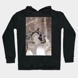 Timber wolves in winter Hoodie